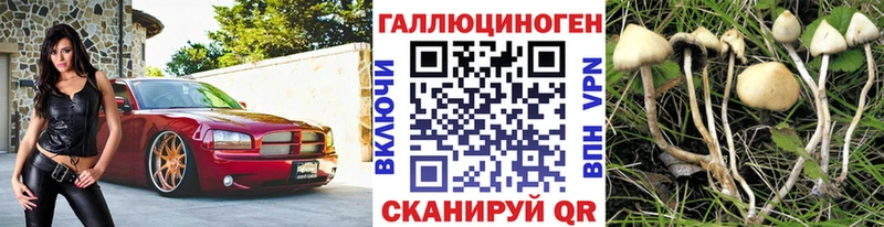 Псилоцибиновые грибы ЛСД  Купить  Томмот 